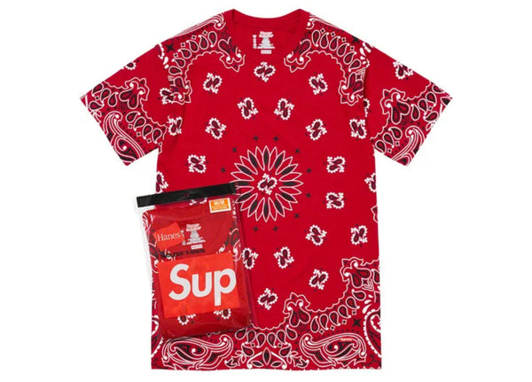SUPREME HANES BANDANA TAGLESS TEES(2 PACK) FW22