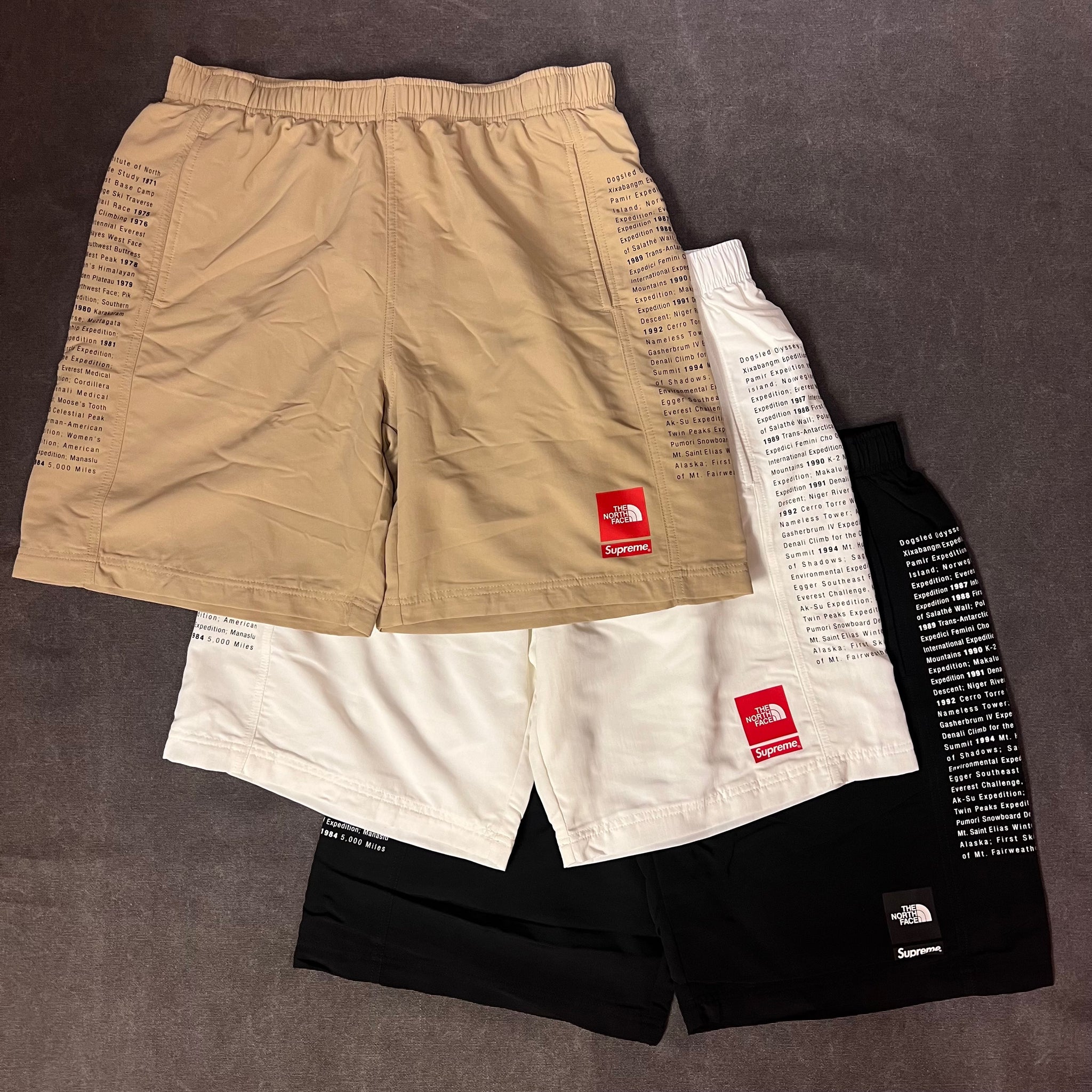 Supreme The North Face Nylon Short Black 安心の定価販売 - ウェア