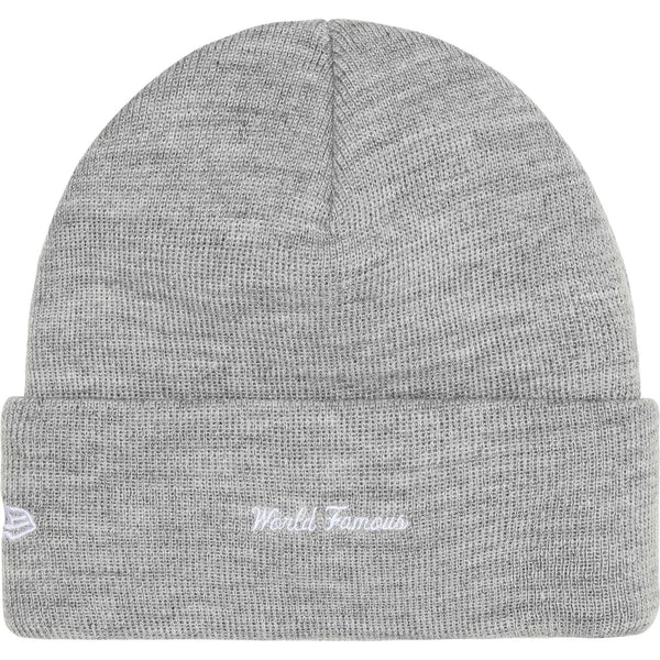 SUPREME BOX LOGO BEANIE FW25