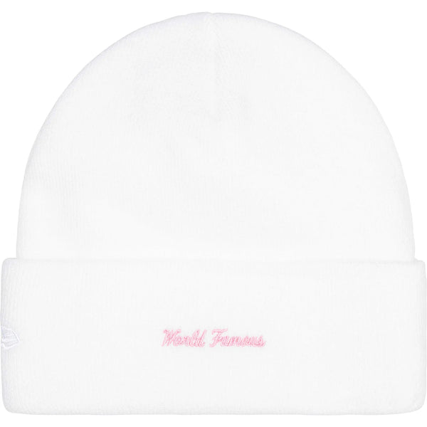 SUPREME BOX LOGO BEANIE FW25