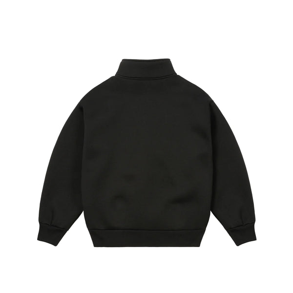 PALACE CARHARTT CARLUX 1/2 ZIP SWEATSHIRT