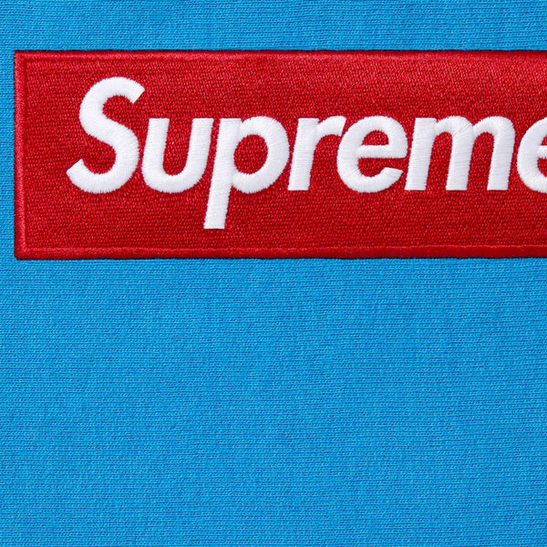 SUPREME BOX LOGO HOODED SWEATSHIRT FW25