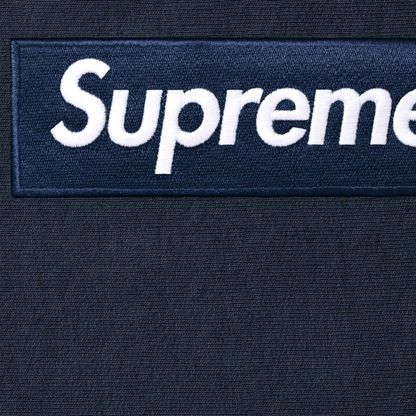 SUPREME BOX LOGO HOODED SWEATSHIRT FW25