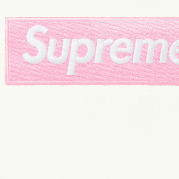 SUPREME BOX LOGO HOODED SWEATSHIRT FW25