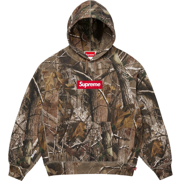SUPREME BOX LOGO HOODED SWEATSHIRT FW25
