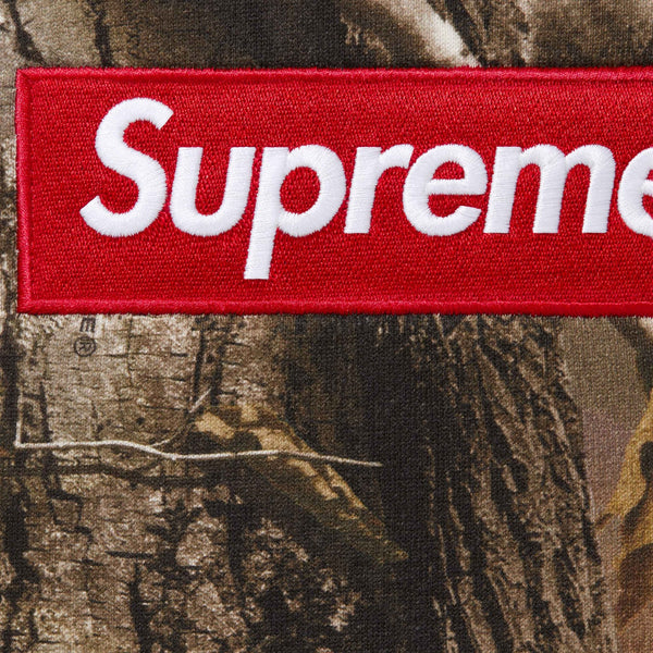 SUPREME BOX LOGO HOODED SWEATSHIRT FW25