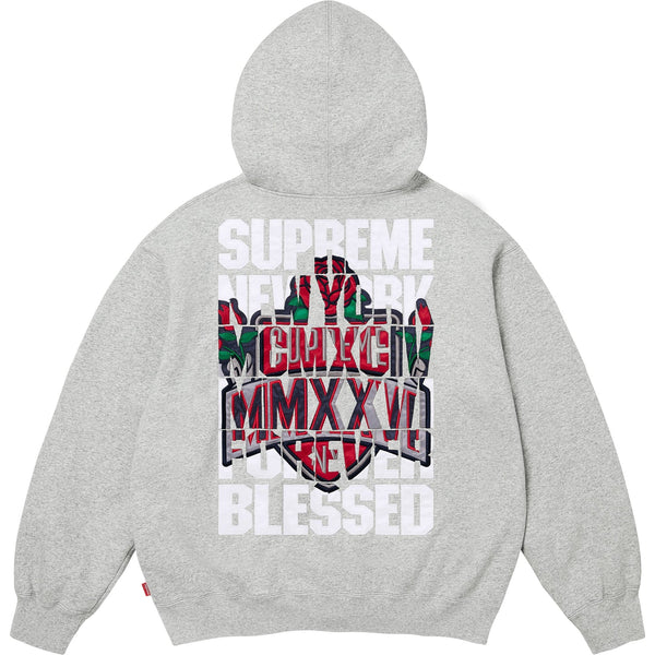 SUPREME BLESSED APPLIQUE ZIP UP HOODED SWEATSHIRT