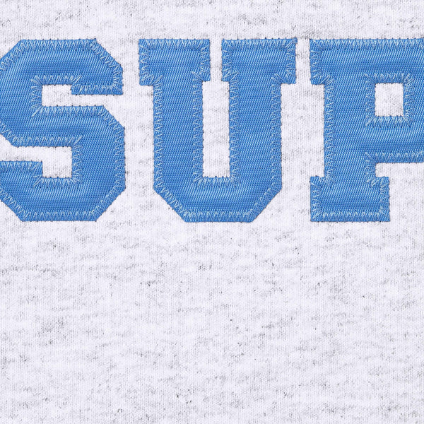 SUPREME COLLEGIATE APPLIQUE ZIP UP HOODED SWEATSHIRT