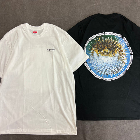 SUPREME BLOWFISH TEE