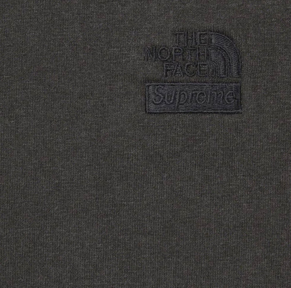 SUPREME THE NORTH FACE PIGMENT PRINTED LS TOP