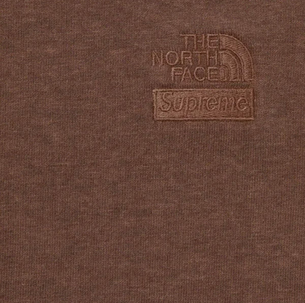 SUPREME THE NORTH FACE PIGMENT PRINTED LS TOP